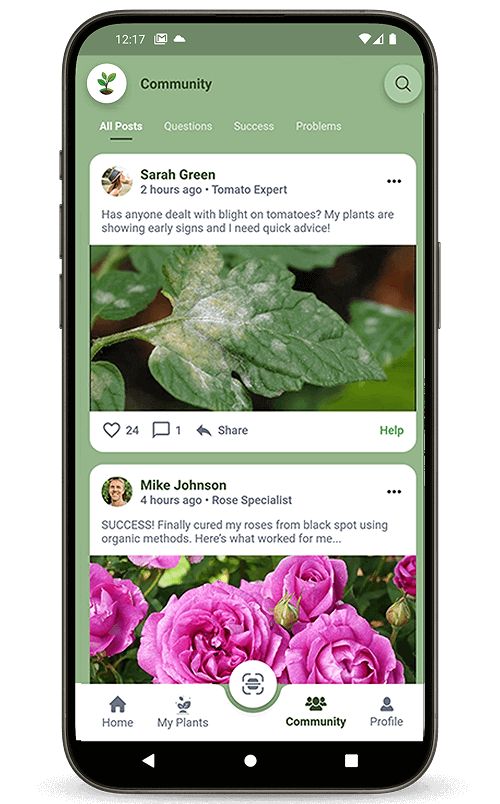 Download AgricareAI app for smart farming