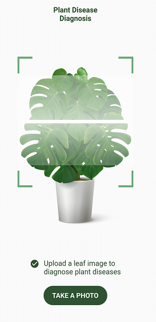 Scan crop feature using leaf detection and AI diagnosis