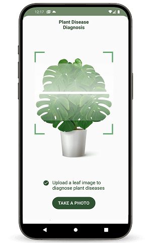 Leaf scan feature in AgricareAI for plant disease diagnosis